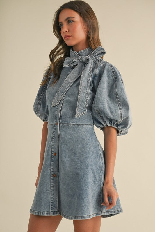Flare Denim Dress