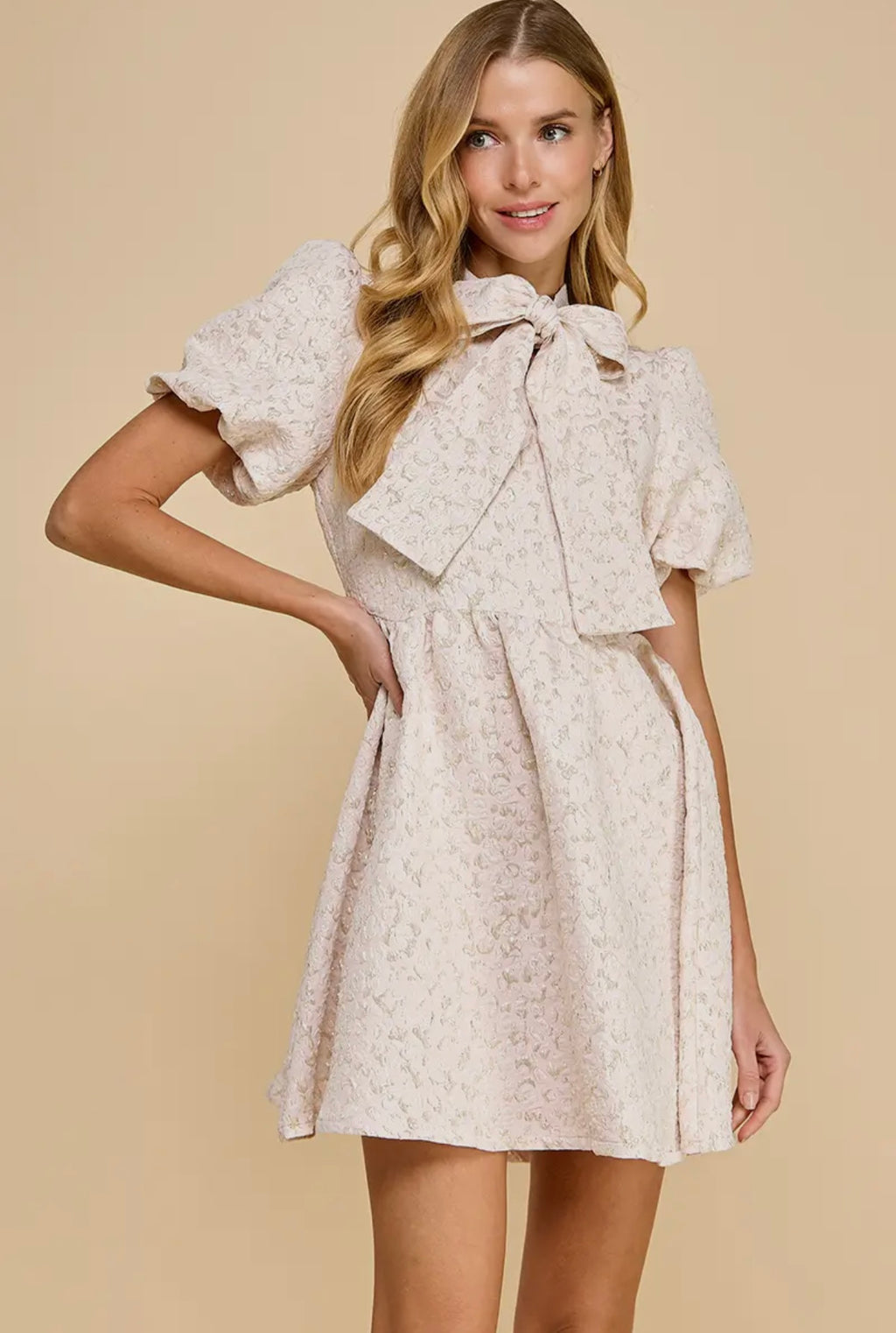 Jacquard Puff Sleeve Bow Dress